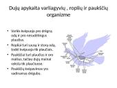 Dujų apykaita organizmuose 6 puslapis