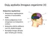 Dujų apykaita organizmuose 10 puslapis