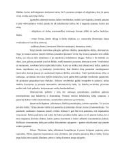 Bendrieji ir vidutiniai kaštai 3 puslapis