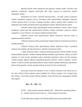 Bendrieji ir vidutiniai kaštai 5 puslapis