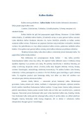 Bendrinė kalba 2 puslapis