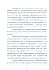 Bendrinė kalba 8 puslapis