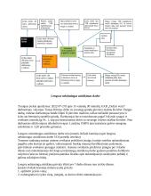 Lengvo nelaimingo atsitikimo darbe tyrimas 6 puslapis