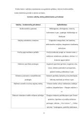 Bendroji turizmo apžvalga 11 puslapis