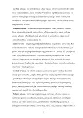 Bendroji turizmo apžvalga 13 puslapis