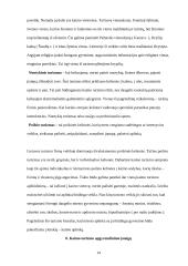 Bendroji turizmo apžvalga 14 puslapis