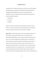 Bendroji turizmo apžvalga 15 puslapis