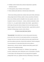 Bendroji turizmo apžvalga 18 puslapis