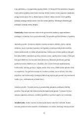 Bendroji turizmo apžvalga 19 puslapis