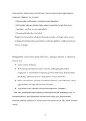 Bendroji turizmo apžvalga 9 puslapis