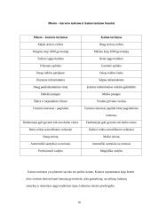 Bendroji turizmo apžvalga 10 puslapis