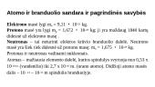 Atomo branduolys. Elektros krūvis 3 puslapis