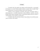 Referatas apie savanorystę 2 puslapis