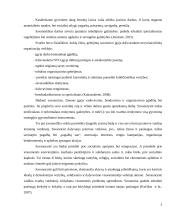 Referatas apie savanorystę 4 puslapis