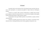 Referatas apie savanorystę 7 puslapis