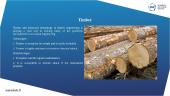 Building Materials (presentation) 9 puslapis