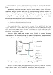 Bendros vandens politikos direktyvos įgyvendinimas Lietuvoje 11 puslapis