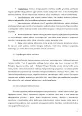 Bendros vandens politikos direktyvos įgyvendinimas Lietuvoje 12 puslapis