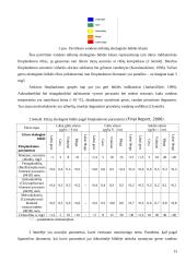 Bendros vandens politikos direktyvos įgyvendinimas Lietuvoje 13 puslapis