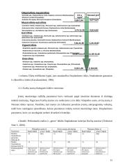 Bendros vandens politikos direktyvos įgyvendinimas Lietuvoje 15 puslapis