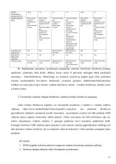 Bendros vandens politikos direktyvos įgyvendinimas Lietuvoje 17 puslapis