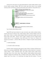 Bendros vandens politikos direktyvos įgyvendinimas Lietuvoje 8 puslapis