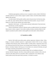 Bendrovės etikos kodeksas: kompanija Shell 12 puslapis