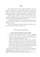 Bendrovės įstatinio kapitalo didinimas ir mažinimas 2 puslapis