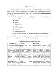 Draudimo rūšys 12 puslapis