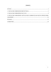 Inovacijų projekto apžvalga