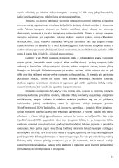 Inovacijų projekto apžvalga 12 puslapis