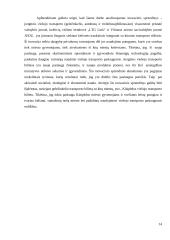 Inovacijų projekto apžvalga 13 puslapis