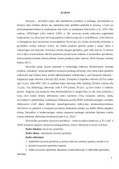 Inovacijų projekto apžvalga 2 puslapis