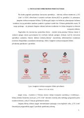 Inovacijų projekto apžvalga 4 puslapis