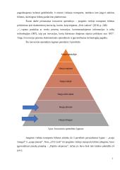 Inovacijų projekto apžvalga 6 puslapis