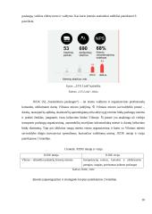 Inovacijų projekto apžvalga 9 puslapis