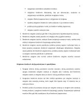 Bendrovės steigimas 2 puslapis