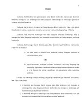 Bendrovės steigimas 8 puslapis