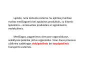 Medžiagų pernaša per membraną 2 puslapis