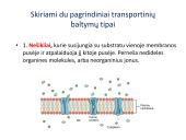 Medžiagų pernaša per membraną 12 puslapis