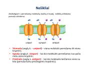 Medžiagų pernaša per membraną 13 puslapis