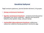 Medžiagų pernaša per membraną 15 puslapis