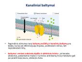 Medžiagų pernaša per membraną 19 puslapis