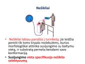 Medžiagų pernaša per membraną 20 puslapis