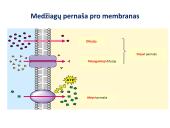 Medžiagų pernaša per membraną 5 puslapis