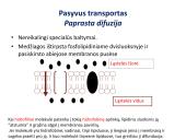 Medžiagų pernaša per membraną 7 puslapis
