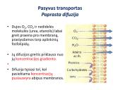 Medžiagų pernaša per membraną 8 puslapis