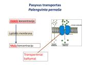 Medžiagų pernaša per membraną 10 puslapis
