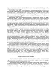 Bendruomenės slauga ir globa 4 puslapis