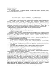 Bendruomenės slauga ir globa 6 puslapis